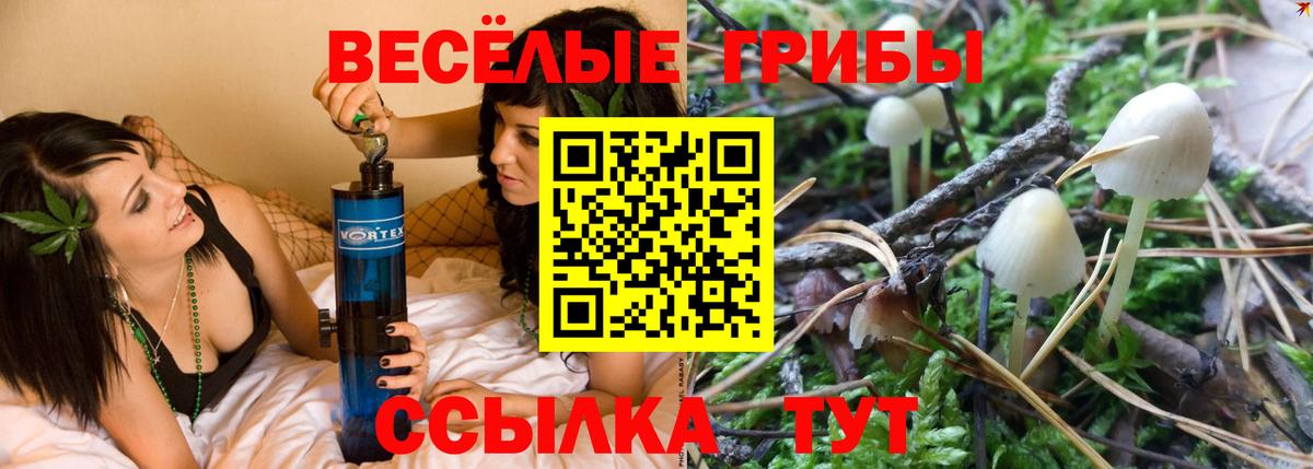 Галлюциногенные грибы прущие грибы  наркошоп  Славянск-на-Кубани  Вход с VPN 