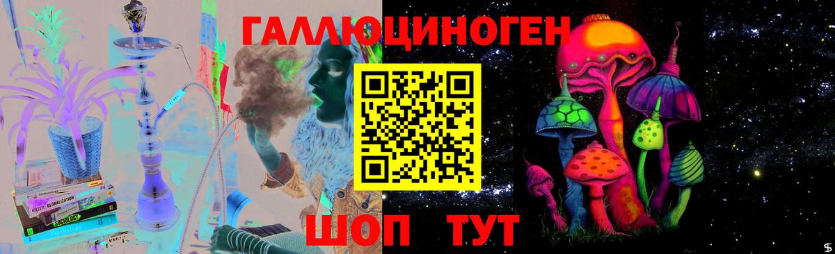 Псилоцибиновые грибы Psilocybine cubensis Славянск-на-Кубани